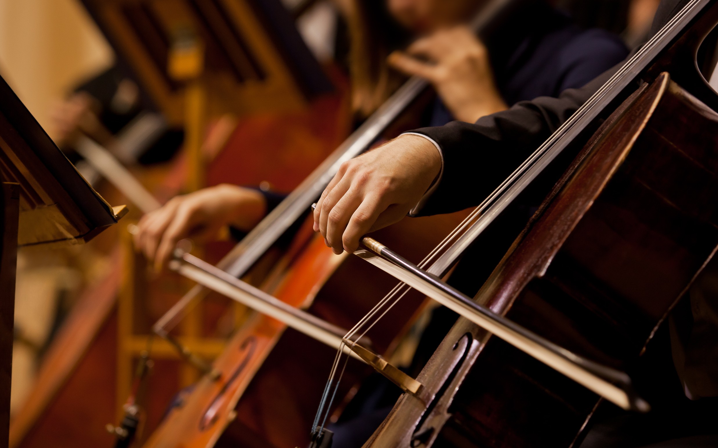 Orchestra performance
