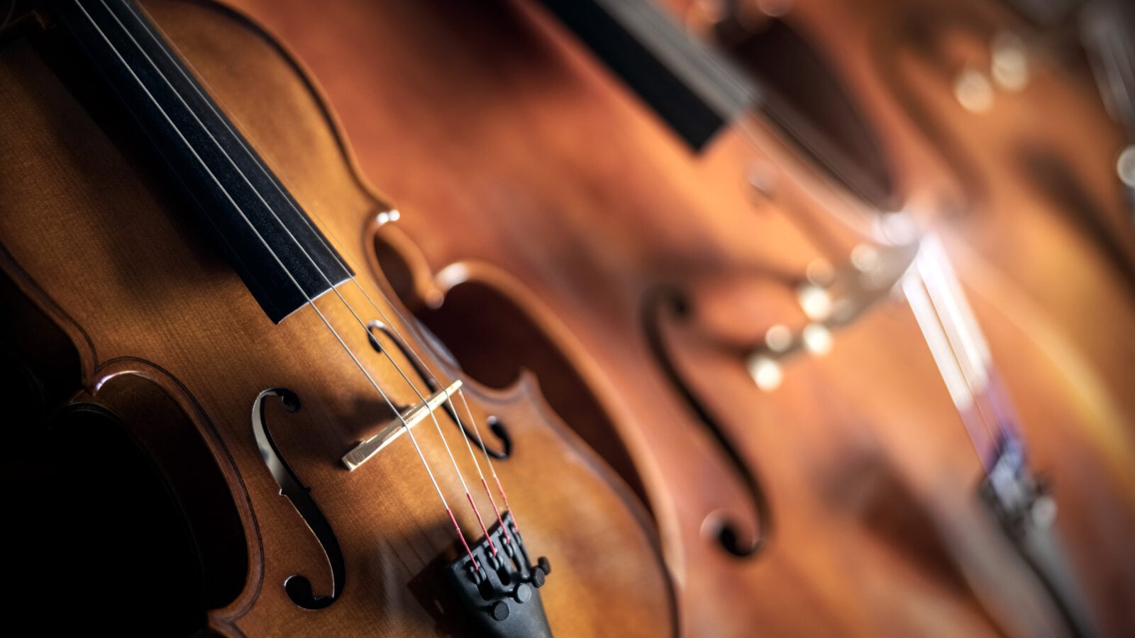 Strings close-up