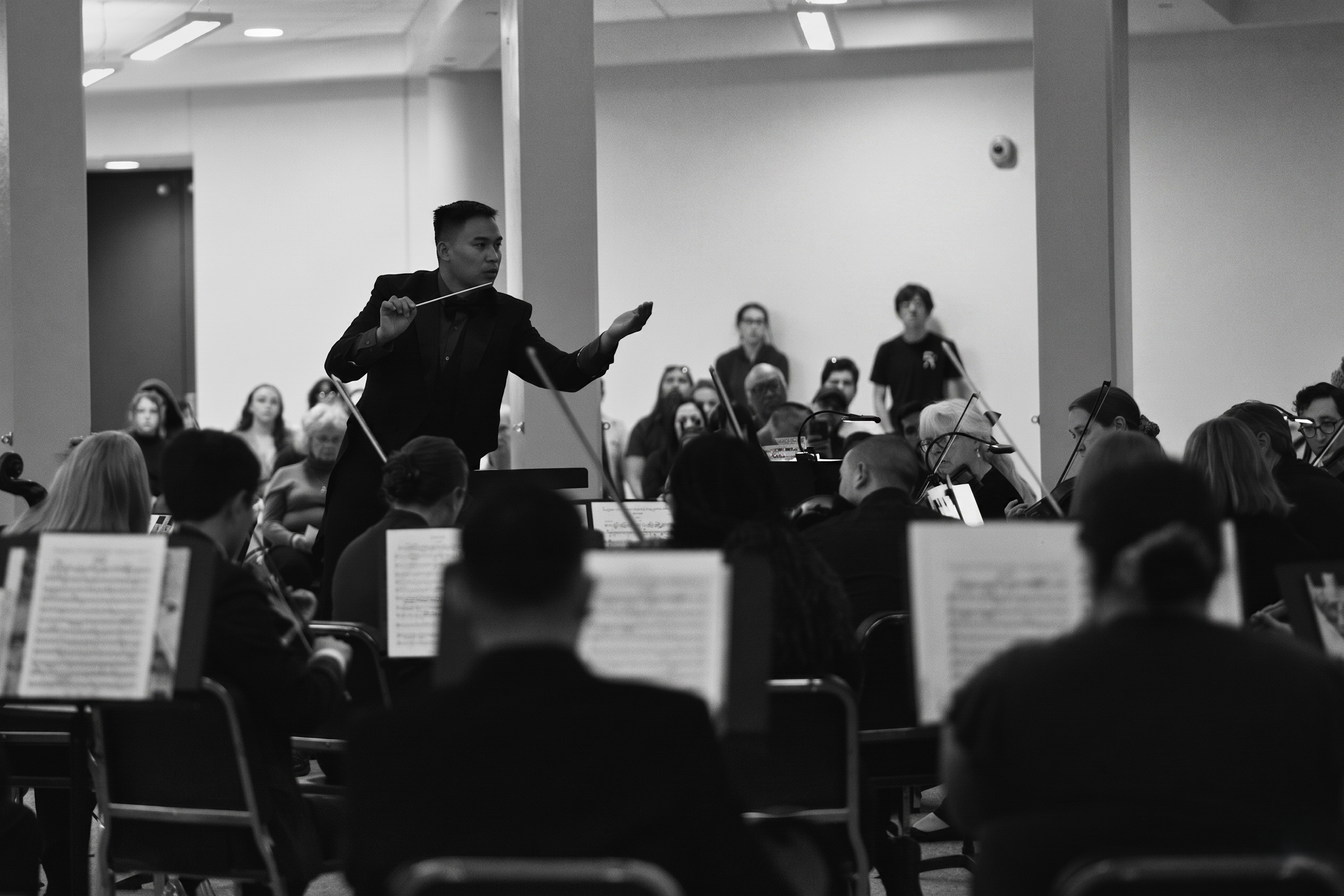 Springs Camerata musicians performing