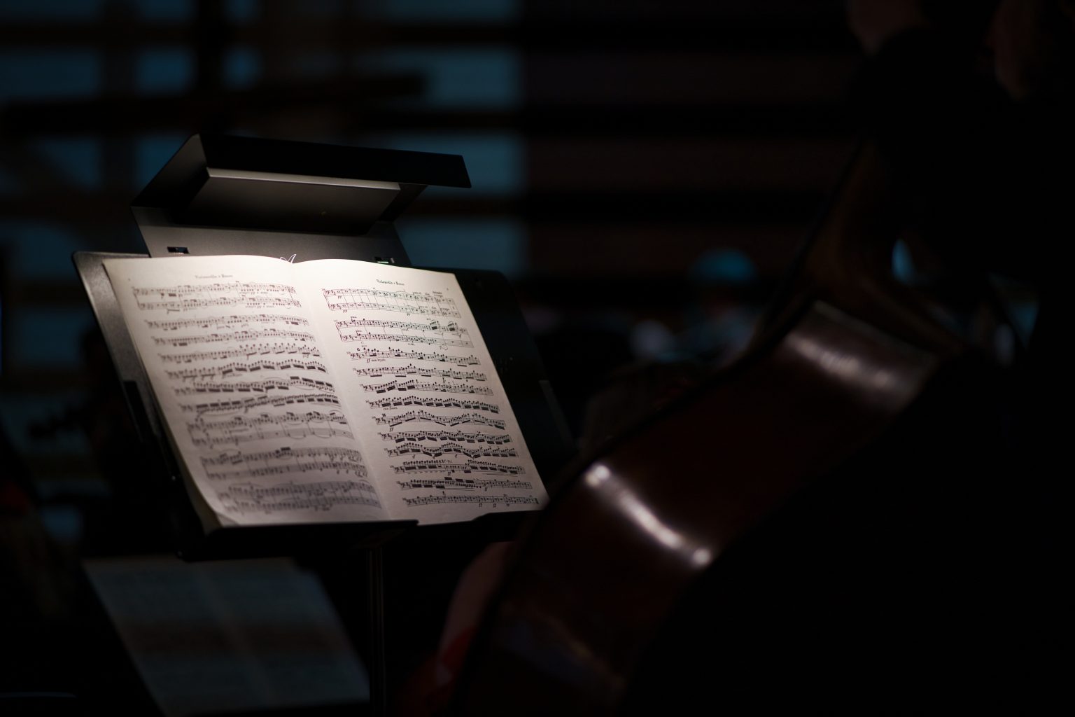 Springs Camerata, June 2026 concert &mdash; photo 8 of 20
