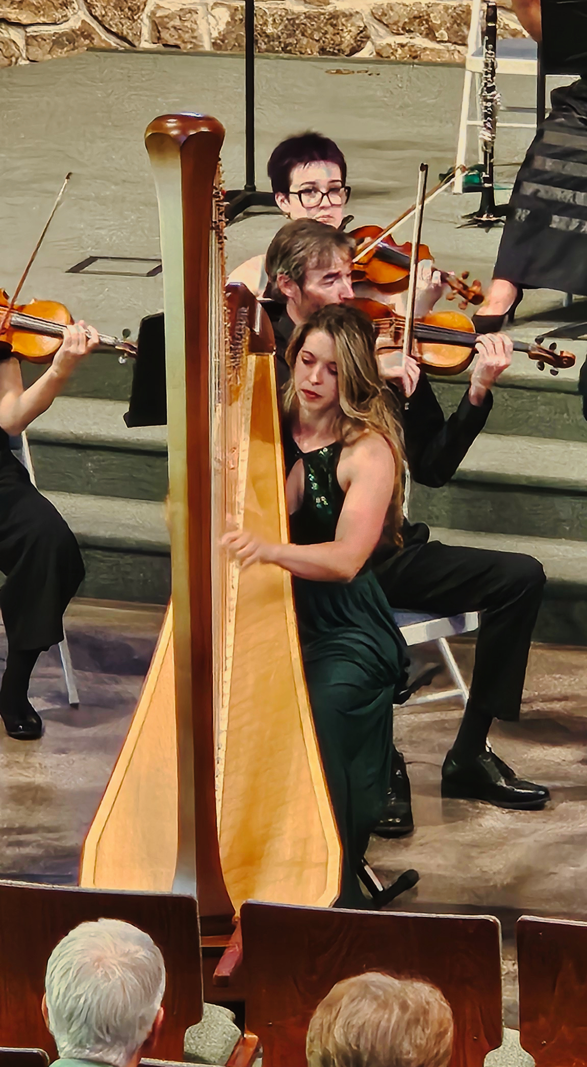 Springs Camerata, September 2026 concert &mdash; photo 5 of 29