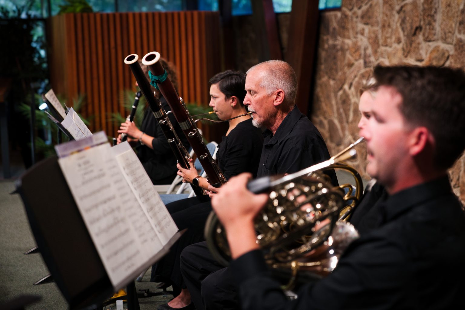 Springs Camerata, September 2026 concert &mdash; photo 27 of 29