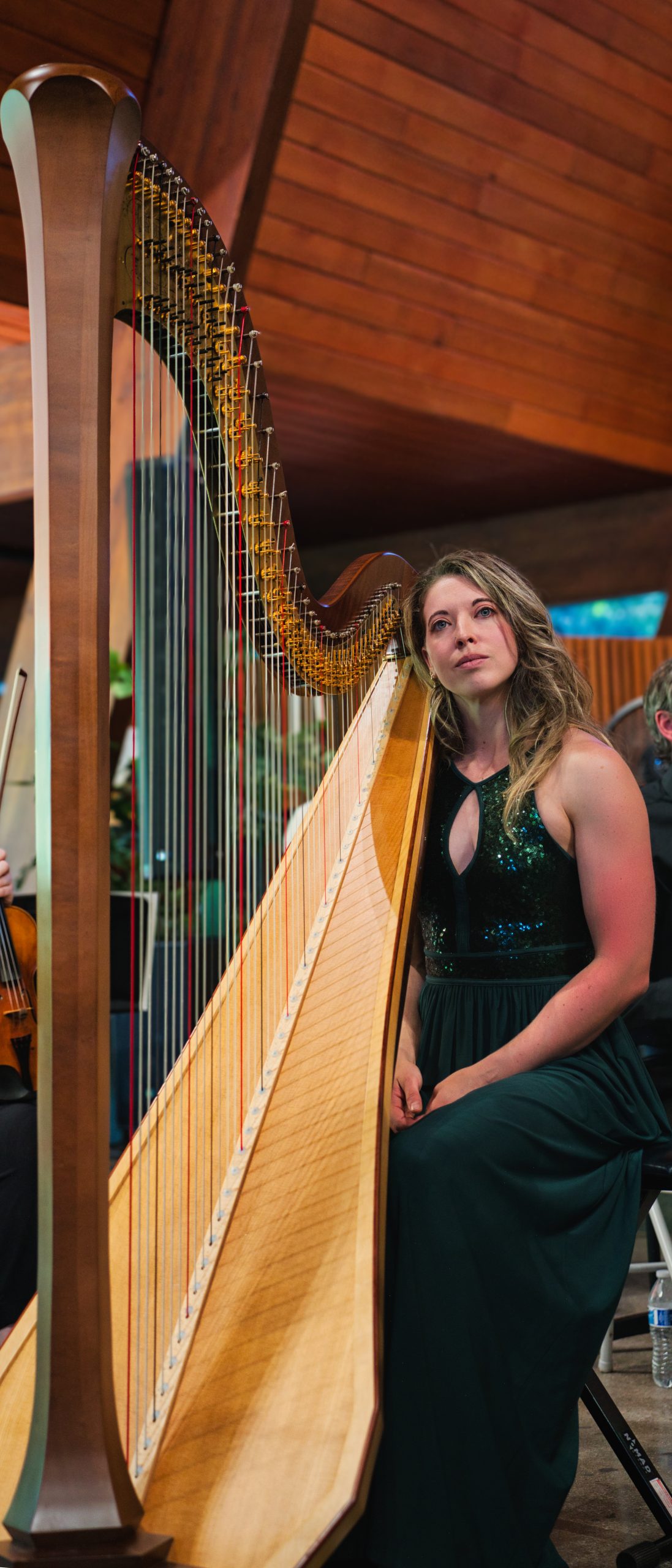 Springs Camerata musicians in performance