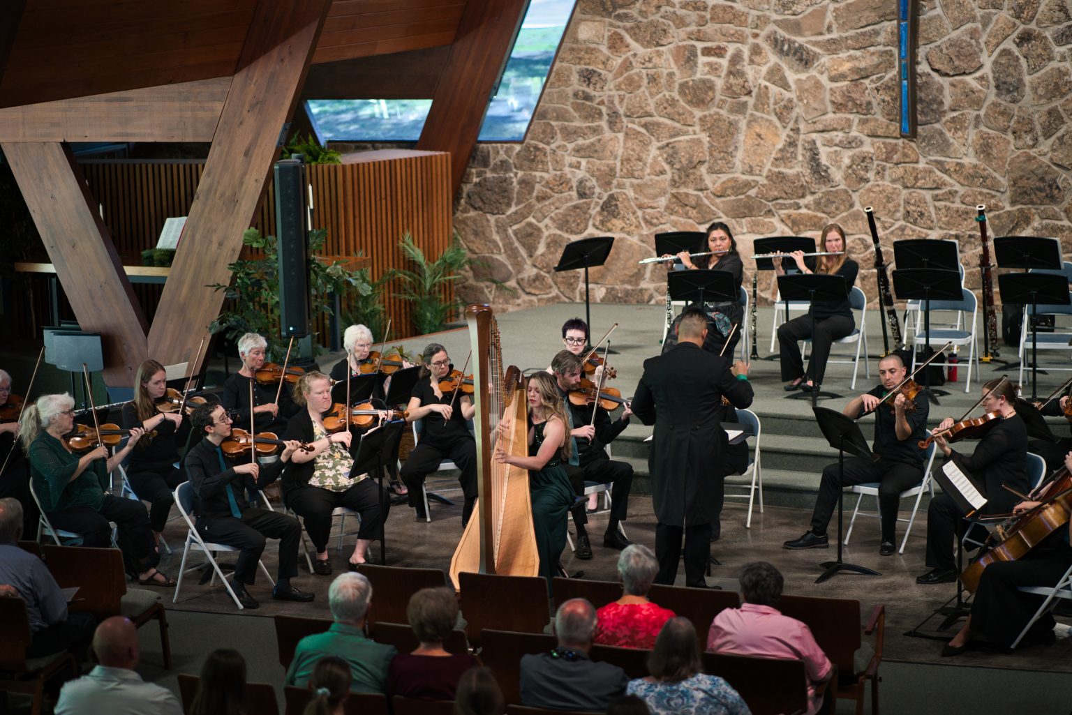 Springs Camerata, September 2026 concert &mdash; photo 15 of 29